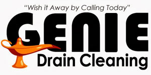 Genie Drain Cleaning